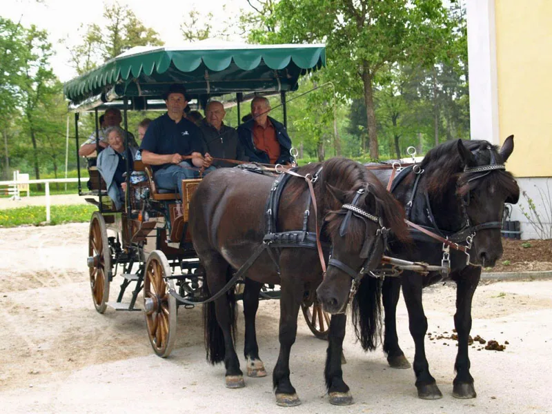 Reiten & Kutschenfahren