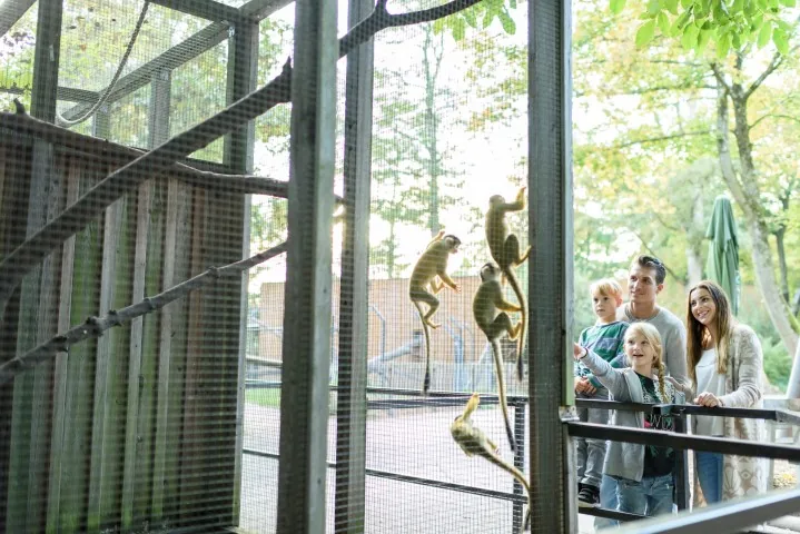 Tierpark Wels